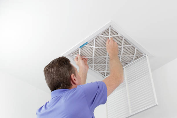 Best Home Air Vent Cleaning  in Yerington, NV
